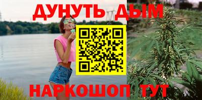 индика Жуковский