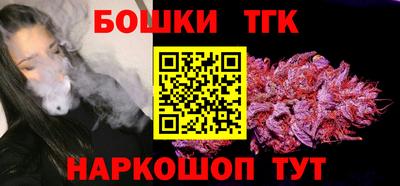 индика Жуковский
