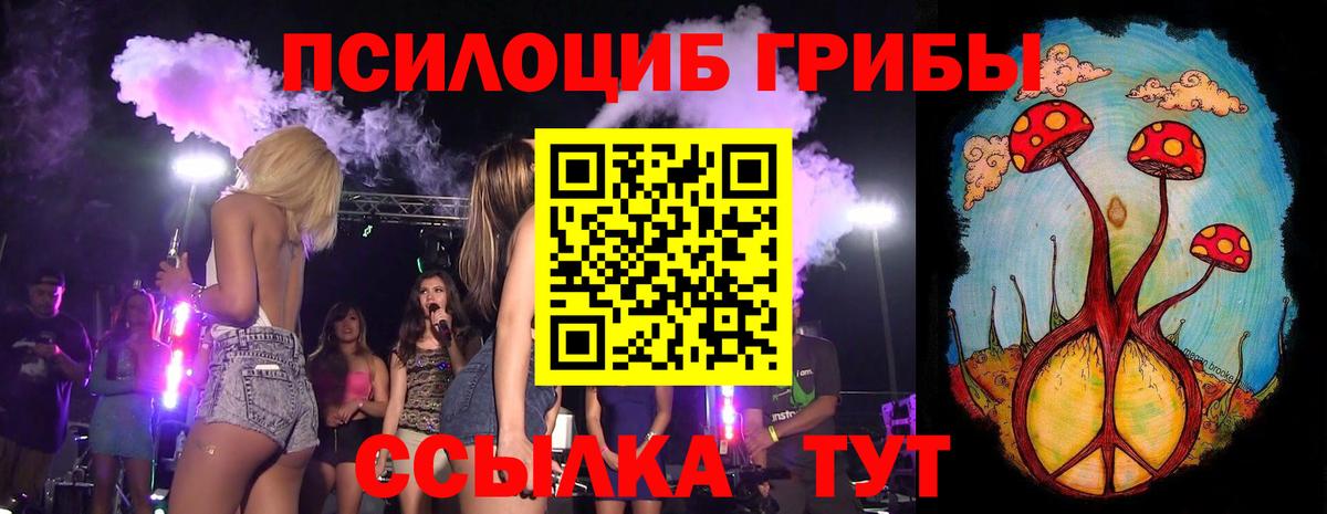 Псилоцибиновые грибы Magic Shrooms  Вход с VPN  дарнет шоп  Лесной  Псилоцибиновые грибы Psilocybine cubensis 
